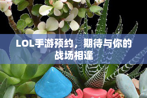 LOL手游预约,期待与你的战场相逢 LOL手游预约,期待与你的战场相逢