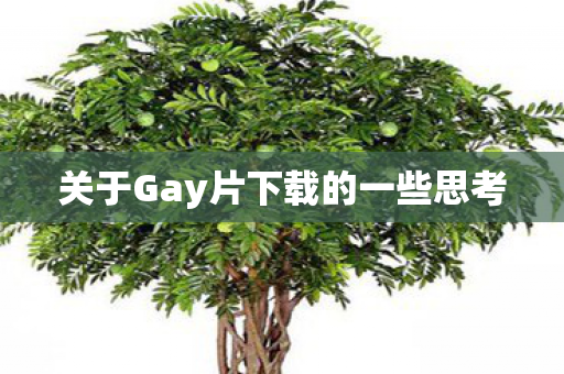 关于Gay片下载的一些思考