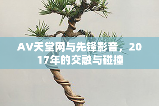 AV天堂网与先锋影音，2017年的交融与碰撞