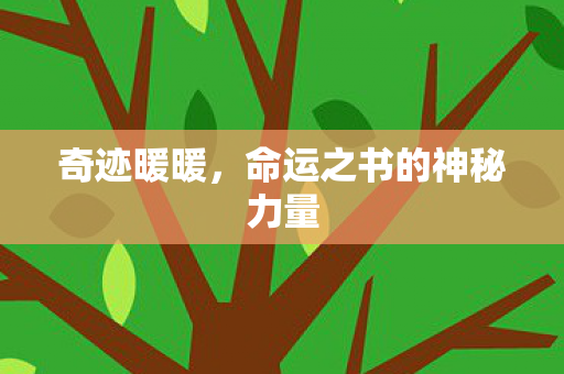 奇迹暖暖,命运之书的神秘力量 奇迹暖暖,命运之书的神秘力量
