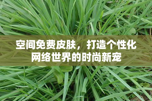 空间免费皮肤,打造个性化网络世界的时尚新宠 空间免费皮肤,打造个性化网络世界的时尚新宠
