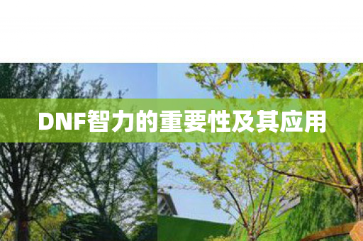 DNF智力的重要性及其应用 DNF智力的重要性及其应用