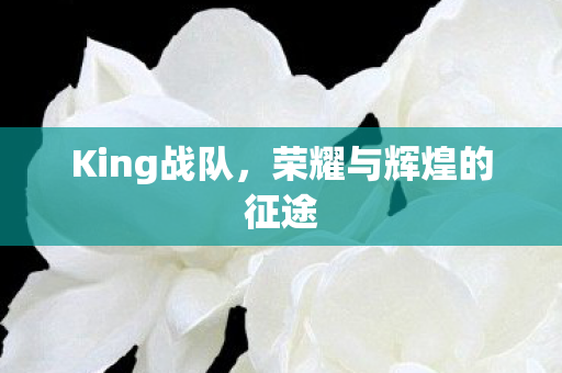 King战队，荣耀与辉煌的征途
