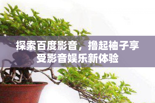 探索百度影音，撸起袖子享受影音娱乐新体验