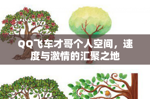 QQ飞车才哥个人空间,速度与激情的汇聚之地 QQ飞车才哥个人空间,速度与激情的汇聚之地