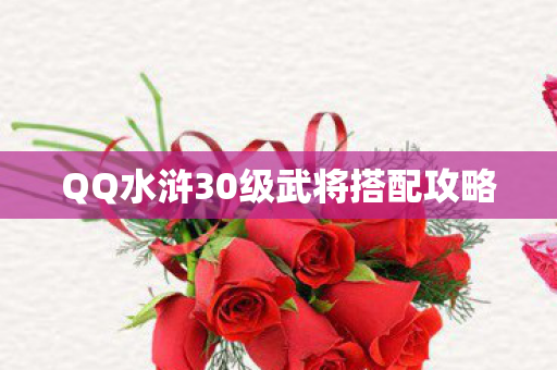 QQ水浒30级武将搭配攻略 QQ水浒30级武将搭配攻略