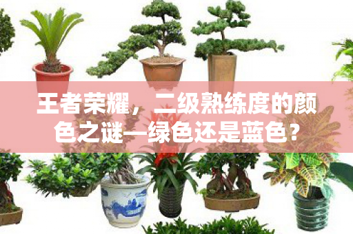 王者荣耀,二级熟练度的颜色之谜—绿色还是蓝色? 王者荣耀,二级熟练度的颜色之谜—绿色还是蓝色?