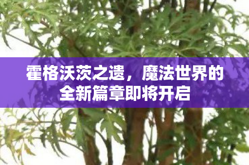 霍格沃茨之遗,魔法世界的全新篇章即将开启 霍格沃茨之遗,魔法世界的全新篇章即将开启