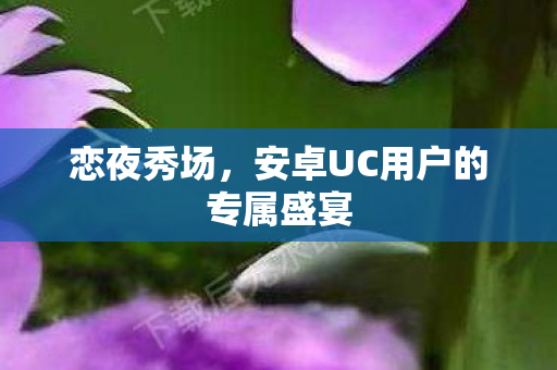 恋夜秀场,安卓UC用户的专属盛宴 恋夜秀场,安卓UC用户的专属盛宴