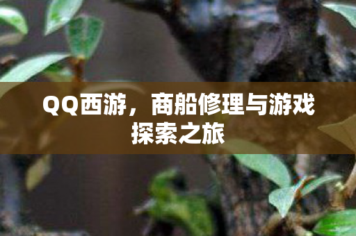 QQ西游,商船修理与游戏探索之旅 QQ西游,商船修理与游戏探索之旅