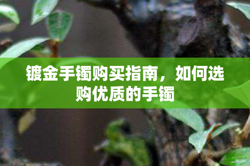 镀金手镯购买指南，如何选购优质的手镯