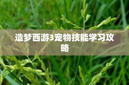 造梦西游3宠物技能学习攻略