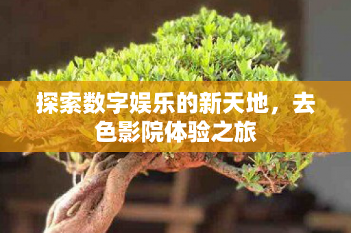 探索数字娱乐的新天地，去色影院体验之旅