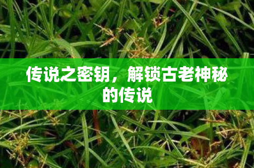 传说之密钥，解锁古老神秘的传说