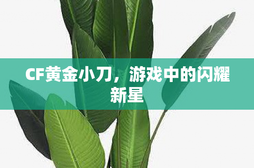 CF黄金小刀,游戏中的闪耀新星 CF黄金小刀,游戏中的闪耀新星