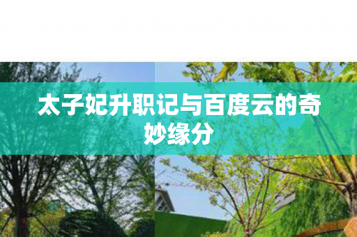 太子妃升职记与百度云的奇妙缘分 太子妃升职记与百度云的奇妙缘分