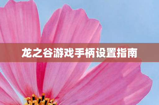 龙之谷游戏手柄设置指南 龙之谷游戏手柄设置指南