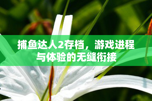 捕鱼达人2存档,游戏进程与体验的无缝衔接 捕鱼达人2存档,游戏进程与体验的无缝衔接