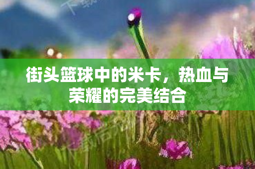 街头篮球中的米卡,热血与荣耀的完美结合 街头篮球中的米卡,热血与荣耀的完美结合
