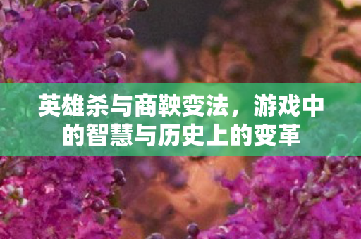 英雄杀与商鞅变法，游戏中的智慧与历史上的变革