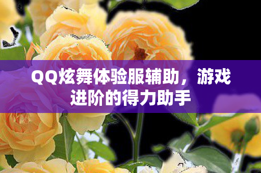 QQ炫舞体验服辅助,游戏进阶的得力助手 QQ炫舞体验服辅助,游戏进阶的得力助手