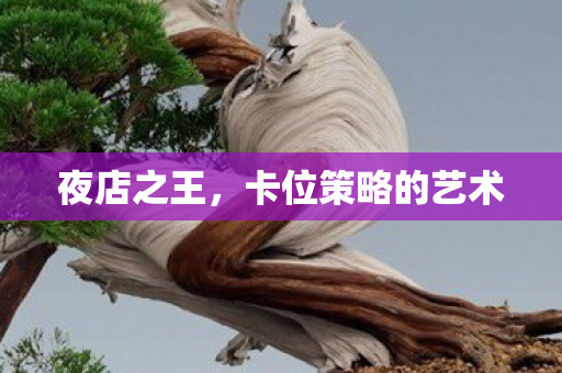 夜店之王,卡位策略的艺术 夜店之王,卡位策略的艺术