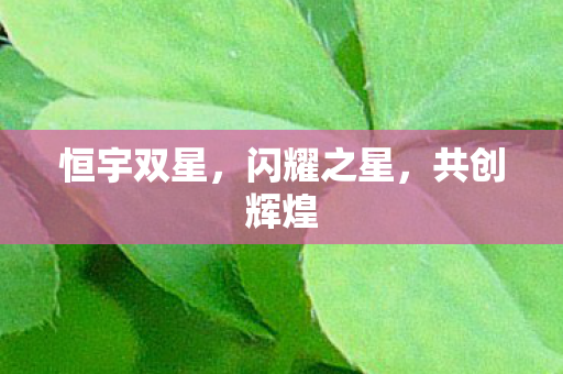 恒宇双星,闪耀之星,共创辉煌 恒宇双星,闪耀之星,共创辉煌