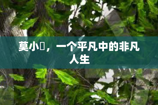 莫小囧，一个平凡中的非凡人生