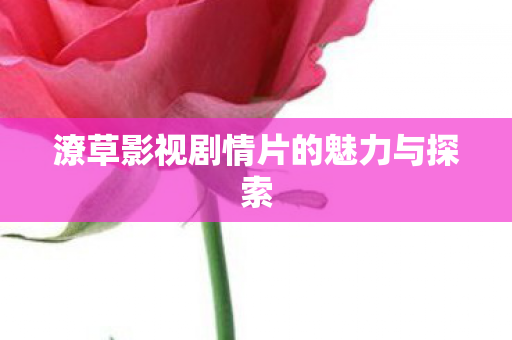 潦草影视剧情片的魅力与探索 潦草影视剧情片的魅力与探索