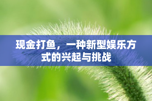 现金打鱼,一种新型娱乐方式的兴起与挑战 现金打鱼,一种新型娱乐方式的兴起与挑战