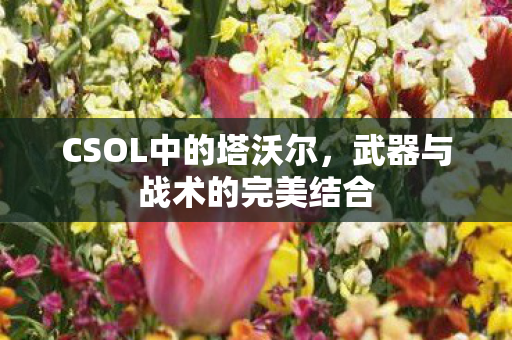 CSOL中的塔沃尔，武器与战术的完美结合