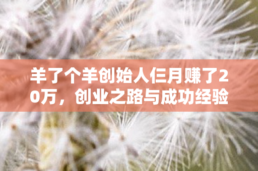 羊了个羊创始人仨月赚了20万,创业之路与成功经验分享 羊了个羊创始人仨月赚了20万,创业之路与成功经验分享