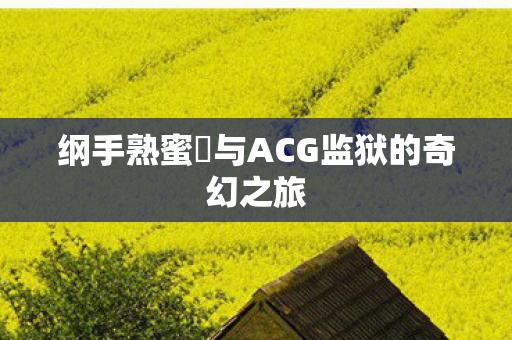 纲手熟蜜姫与ACG监狱的奇幻之旅