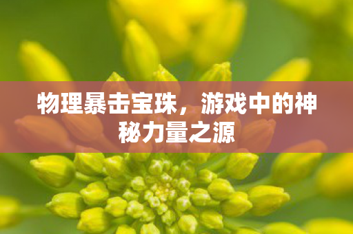 物理暴击宝珠,游戏中的神秘力量之源 物理暴击宝珠,游戏中的神秘力量之源