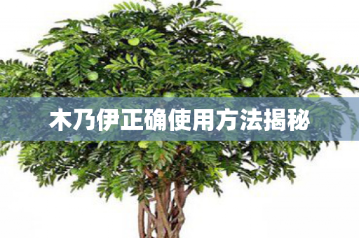 木乃伊正确使用方法揭秘 木乃伊正确使用方法揭秘
