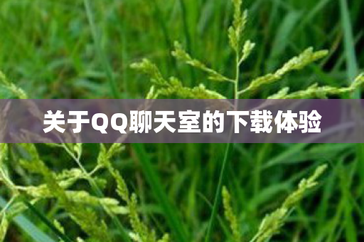 关于QQ聊天室的下载体验 关于QQ聊天室的下载体验