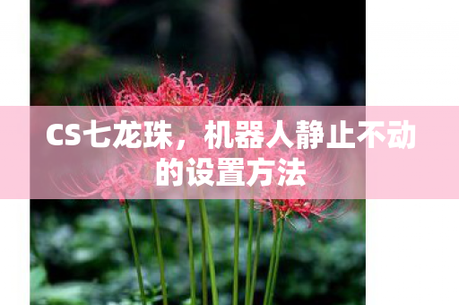 CS七龙珠,机器人静止不动的设置方法 CS七龙珠,机器人静止不动的设置方法