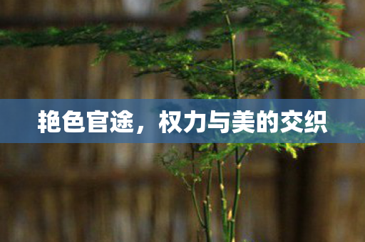 艳色官途,权力与美的交织 艳色官途,权力与美的交织