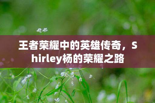 王者荣耀中的英雄传奇,Shirley杨的荣耀之路 王者荣耀中的英雄传奇,Shirley杨的荣耀之路