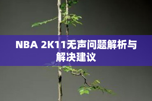 NBA 2K11无声问题解析与解决建议 NBA 2K11无声问题解析与解决建议