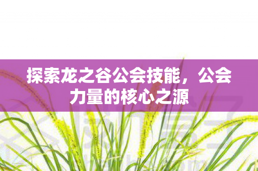 探索龙之谷公会技能,公会力量的核心之源 探索龙之谷公会技能,公会力量的核心之源