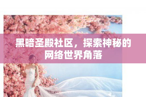 黑暗圣殿社区,探索神秘的网络世界角落 黑暗圣殿社区,探索神秘的网络世界角落
