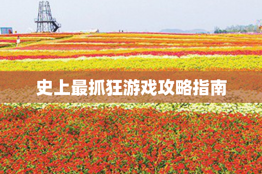 史上最抓狂游戏攻略指南 史上最抓狂游戏攻略指南