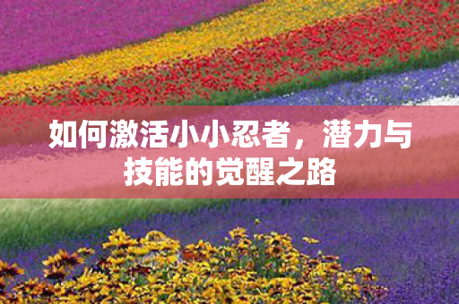 如何激活小小忍者,潜力与技能的觉醒之路 如何激活小小忍者,潜力与技能的觉醒之路
