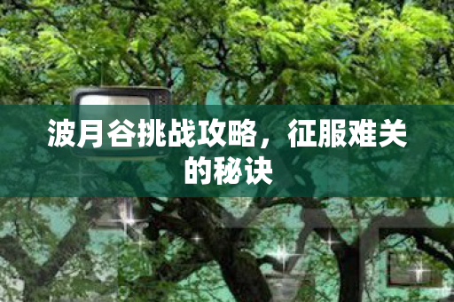 波月谷挑战攻略,征服难关的秘诀 波月谷挑战攻略,征服难关的秘诀