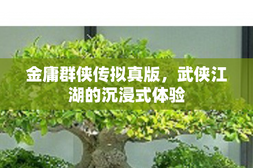 金庸群侠传拟真版，武侠江湖的沉浸式体验