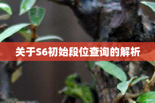 关于S6初始段位查询的解析 关于S6初始段位查询的解析