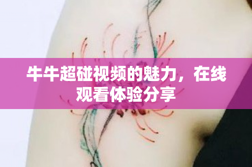 牛牛超碰视频的魅力,在线观看体验分享 牛牛超碰视频的魅力,在线观看体验分享