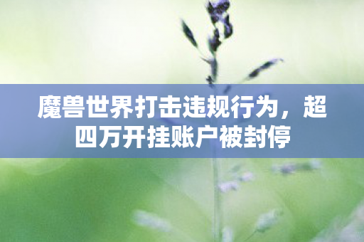 魔兽世界打击违规行为,超四万开挂账户被封停 魔兽世界打击违规行为,超四万开挂账户被封停