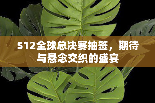 S12全球总决赛抽签,期待与悬念交织的盛宴 S12全球总决赛抽签,期待与悬念交织的盛宴